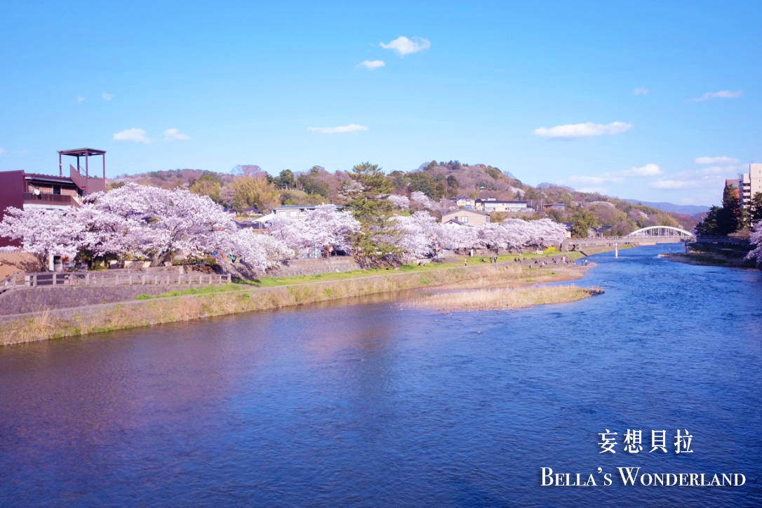 金澤景點 東茶屋街散策地圖 淺野川櫻花 櫻花季