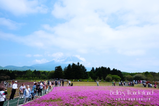 河口湖景點 芝櫻祭會場限定必買伴手禮 富士山與芝櫻